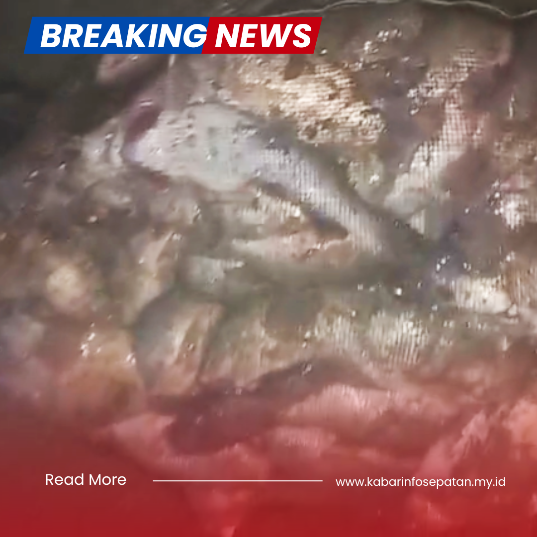 Apakah Penyebabnya,..? ; Ribuan Ikan Mati di Sungai Cisadane