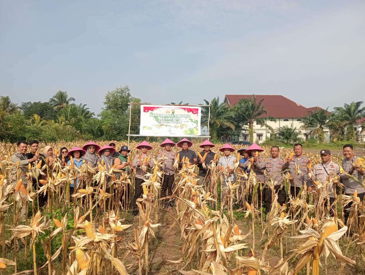 Polsek Dumai Barat Panen Raya  Jagung 2 Ton, Dukung Swasembada Pangan