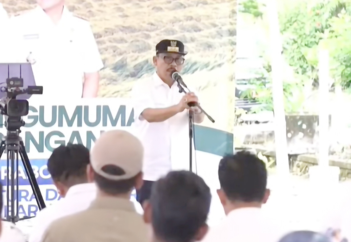 Dari Sulbar untuk Indonesia: Surplus Beras dan Dukungan untuk Swasembada Nasional